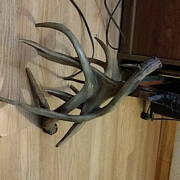 Antler lamp - Picture 2 of 3